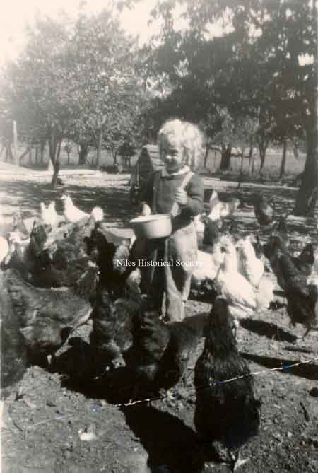 Arlene Pietrouski feeding chickens.