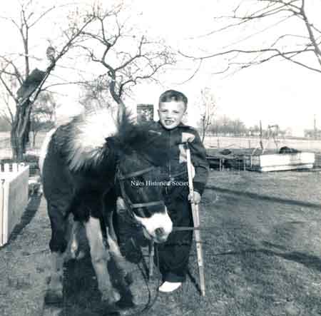 Ron Sisco and his pony, 1955.