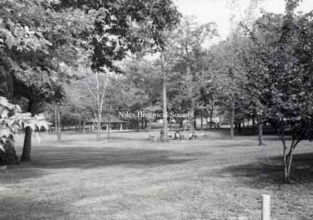 Picnicking at Waddell Park
