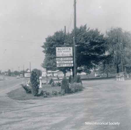 Sign in front of market advertised the produce that was in season and available.